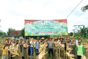 Polres Tulang Bawang Barat Gelar Panen Raya Jagung Serentak Kuartal I Tahun 2026 di Kecamatan Tumijajar