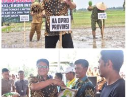 Ketua DPRD Provinsi Lampung, A. Giri Akbar, S.E., M.B.A., menghadiri kegiatan Tanam Padi Bersama Forum Koordinasi Pimpinan Daerah (Forkopimda)