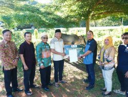 PEMKAB TUBABA SERAHKAN 2 EKOR SAPI QURBAN UNTUK INSAN PERS
