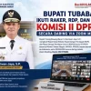 Bupati Tubaba Ikuti Rapat Komisi II DPR RI Bahas Penguatan Fiskal dan Tata Kelola Daerah