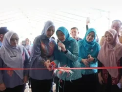 TP-PKK Tubaba Perkuat Pemberdayaan Keluarga, Program Unggulan Jadi Rujukan Kabupaten OKI